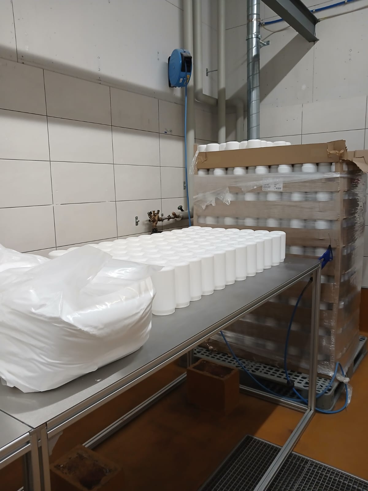 Vorbereitete weisse Produktdosen in der Abfüllung in Schiers